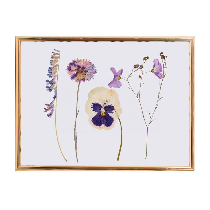 Discovery Zone Classic Flower Press