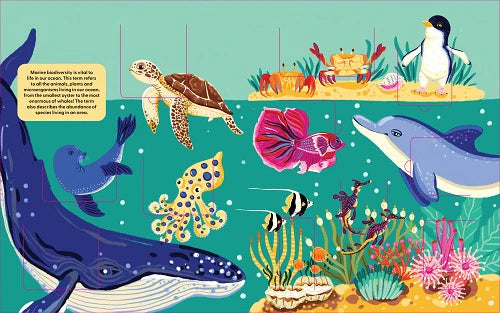 Lift the Fact Ocean Life