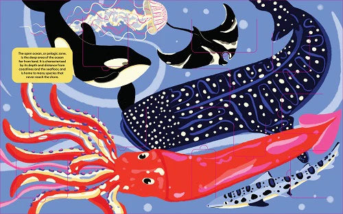 Lift the Fact Ocean Life