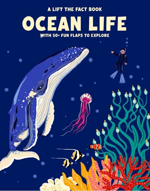 Lift the Fact Ocean Life