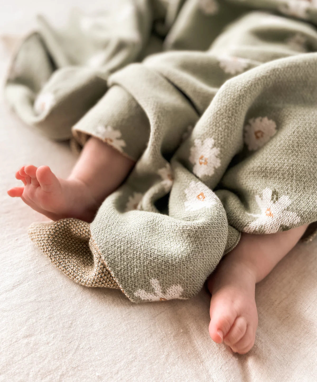 Over the Dandelions Daisy Organic Blanket Thyme