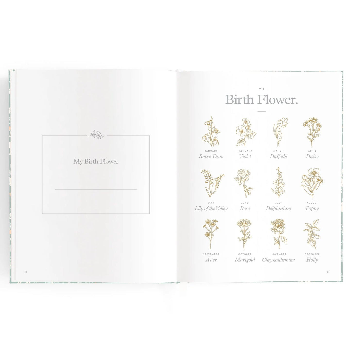 Baby Book Forest Friends Sage - 3rd Edition