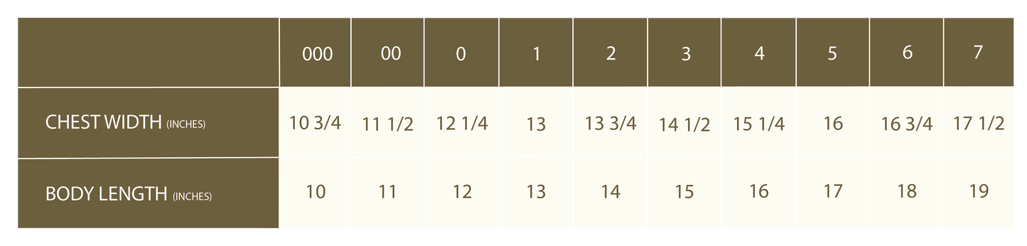 Grown Organic Funfetti Knit Pull Over Surf *Pre-order*