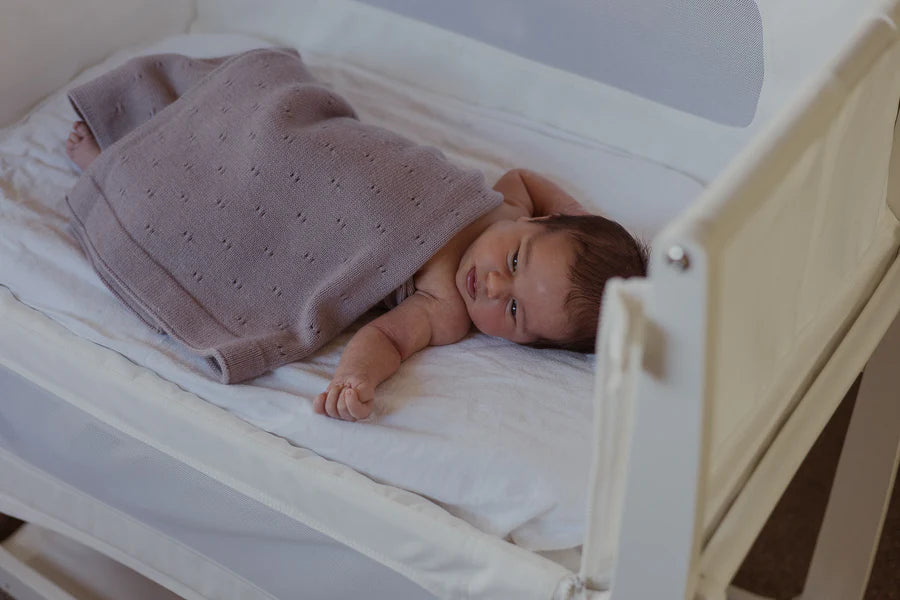 Over the Dandelions Merino Baby Blanket Amethyst