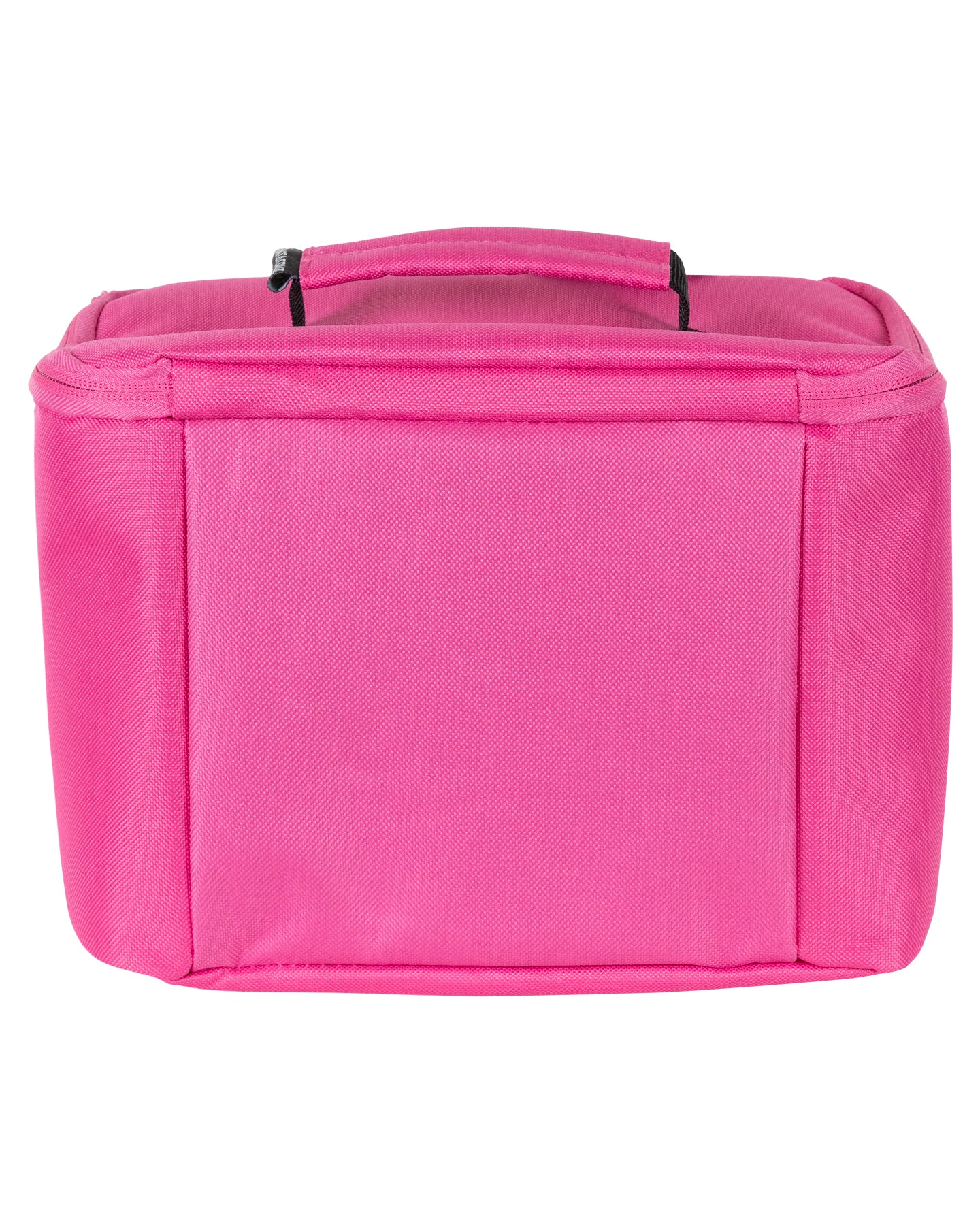 Santa Cruz Field Strip Lunchbox Pink
