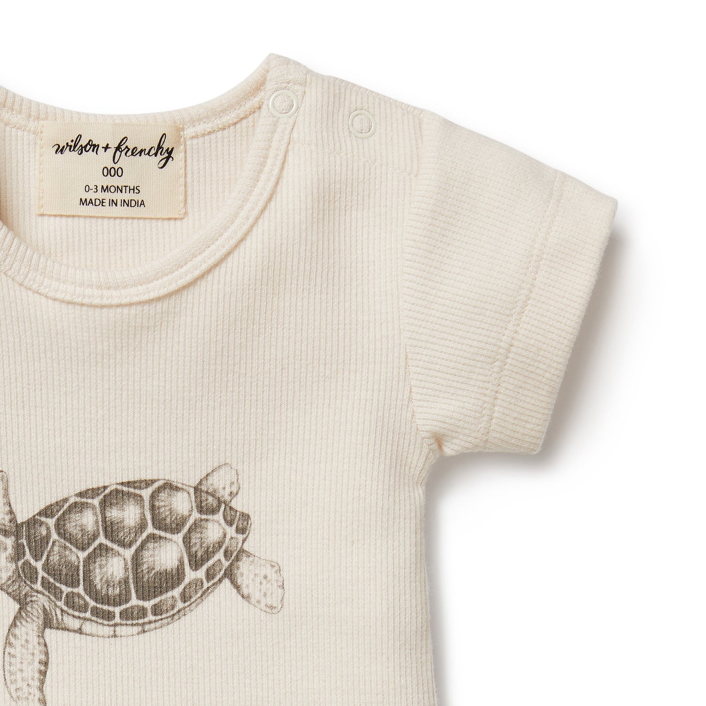 Wilson & Frenchy Organic Tee Tiny Turtle