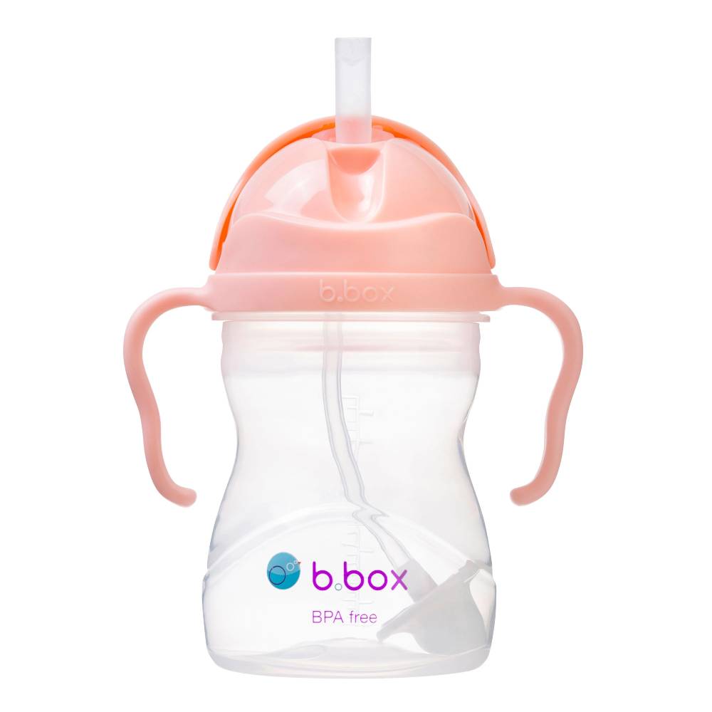 B. Box Sippy Cup V2 Tutti Frutti
