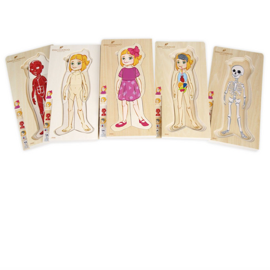 Discoveroo Girl 5 Layer Body Puzzle