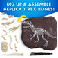 National Geographic T-Rex Skeleton Dig Kit