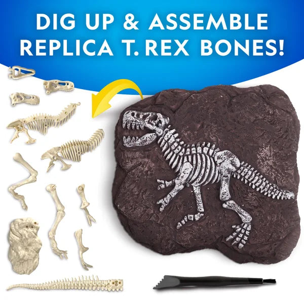 National Geographic T-Rex Skeleton Dig Kit