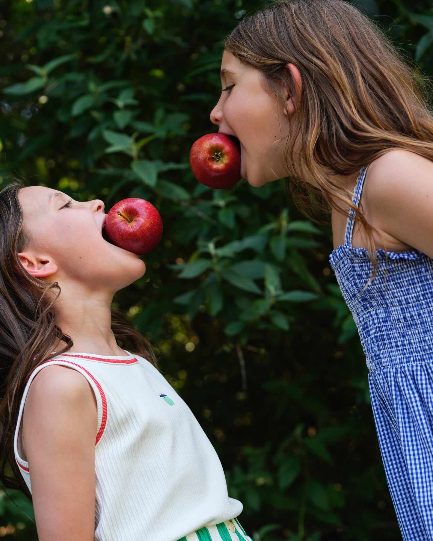 Goldie + Ace Shirred Gingham Apple Dress