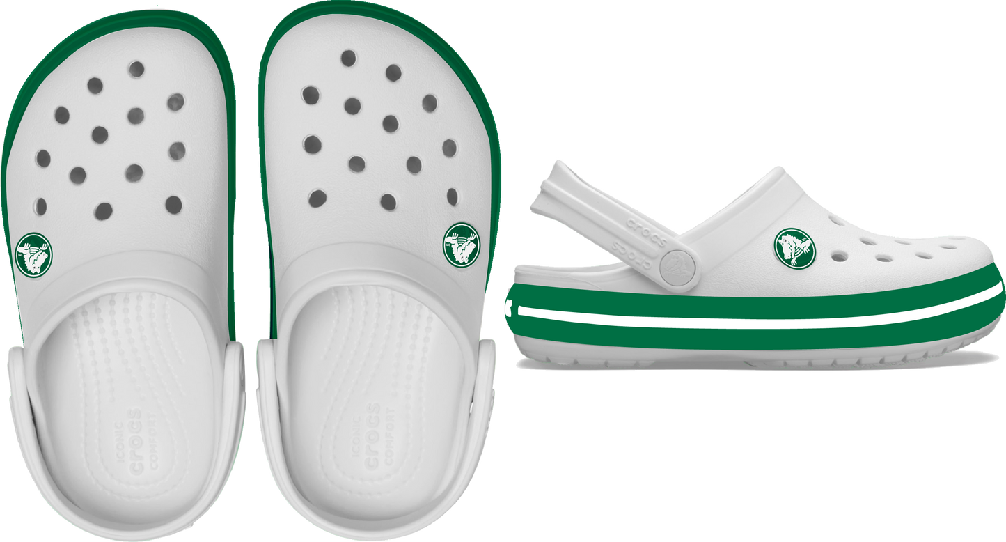 Crocs Crocband Clog Kids/Youth White | Green Ivy