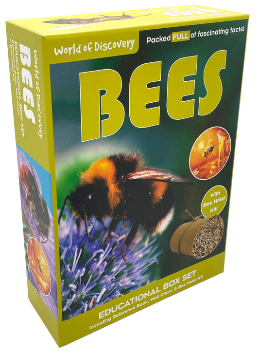 World of Discovery Bees
