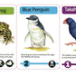 New Zealand Menagerie Game