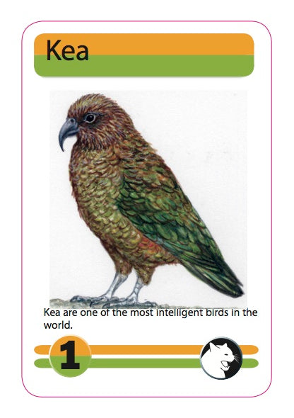 New Zealand Menagerie Game