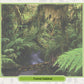New Zealand Menagerie Game
