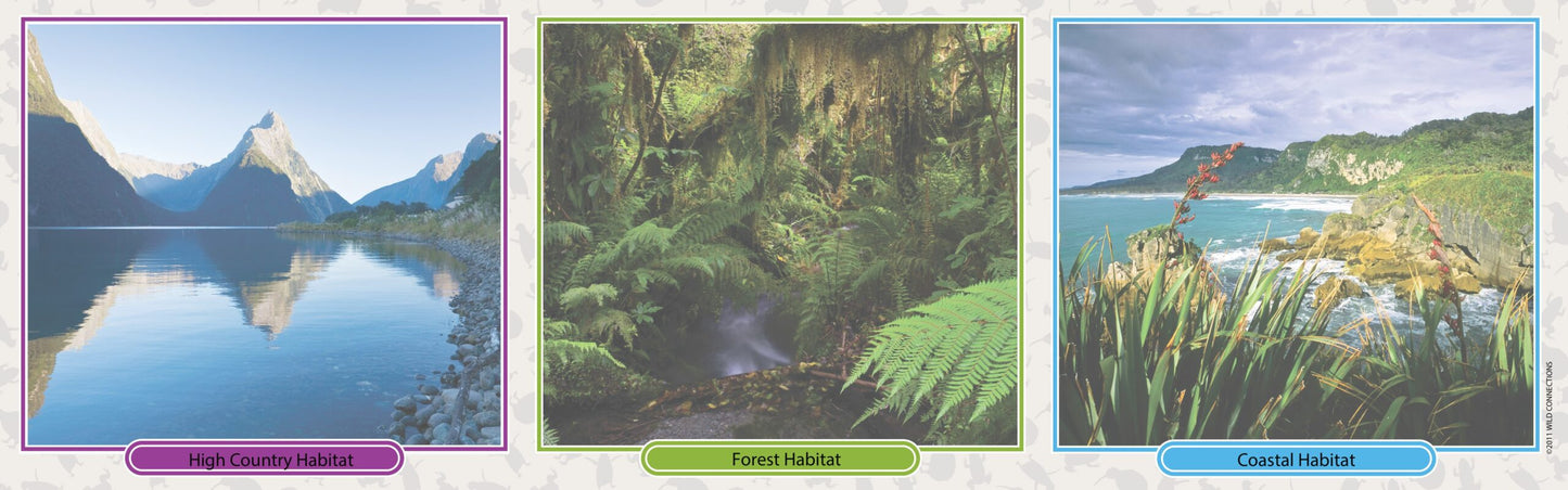 New Zealand Menagerie Game