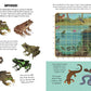 Museum of Marvels Animal Activity Book
