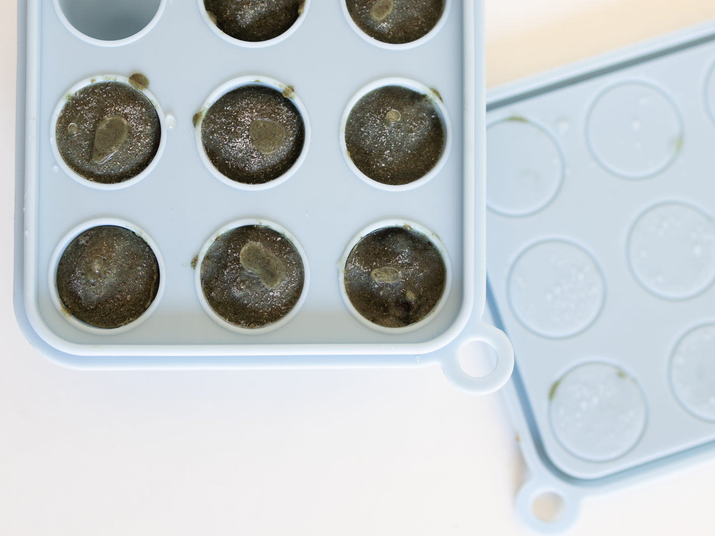 Petite Eats Freezer Tray Breeze