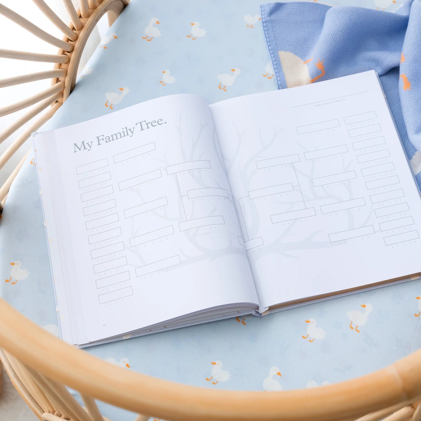 Baby Book Blue Ducks - 3rd Edition
