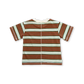 Grown Cotton Sports Stripe Short Sleeve Tee Acorn