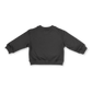 Grown Parrot Fish Jumper Ash