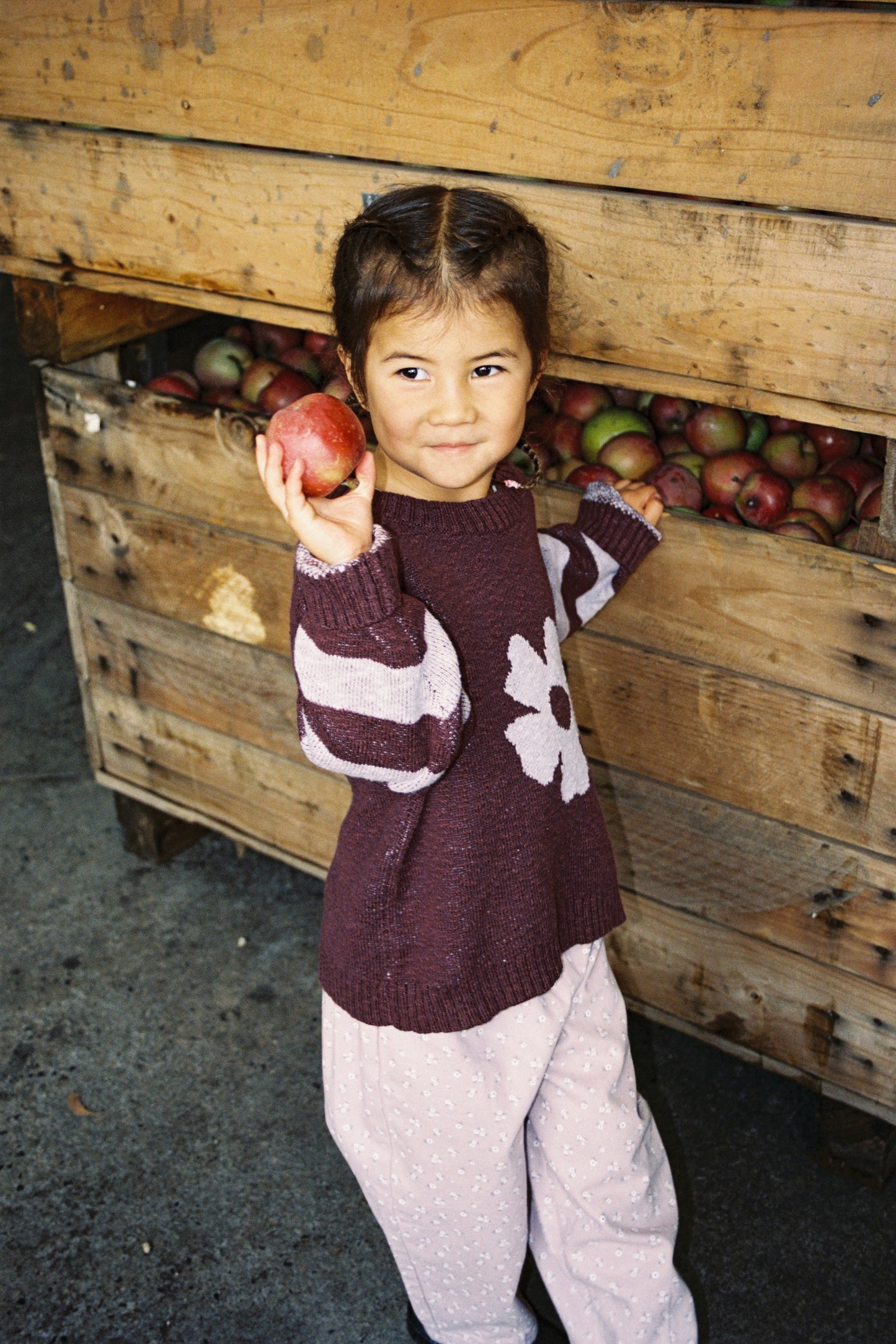Grown Bloom Knit Pull Over Plum