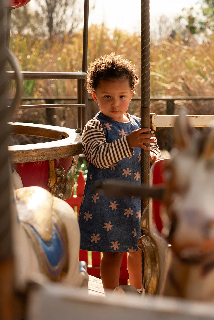 Grown Organic Starlight Denim Dress