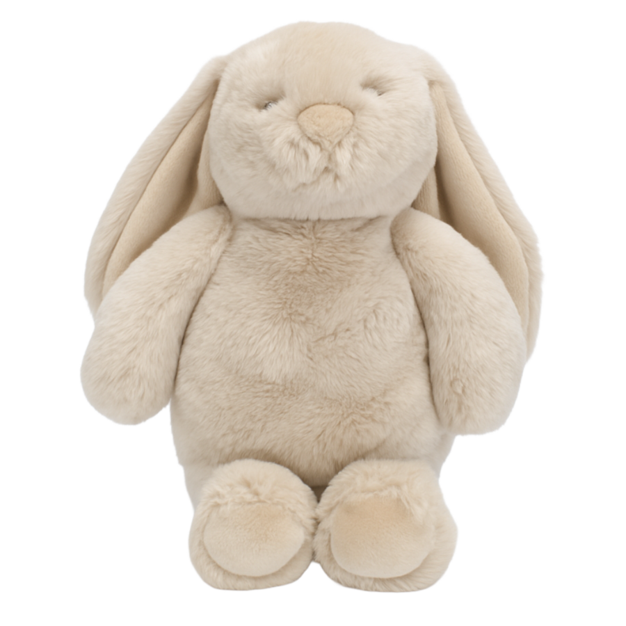 Flopsy Bunny Biscuit