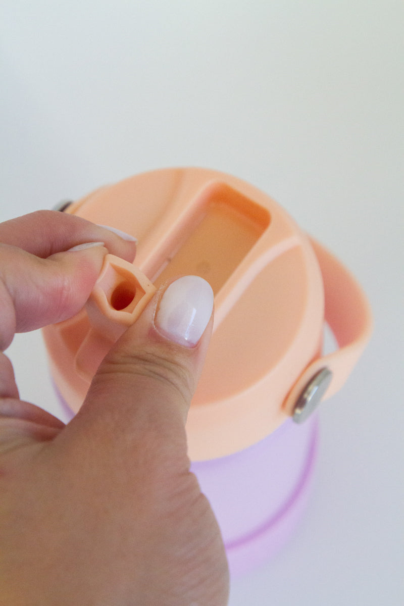 Zazi Flexiflask 1L Peach Sherbert