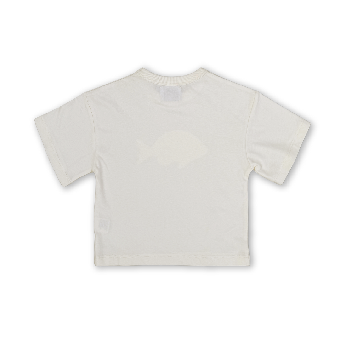 Grown Perch Fish Tee Cream