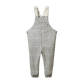 Nature Baby Splash Overalls Briarwood Heron Print