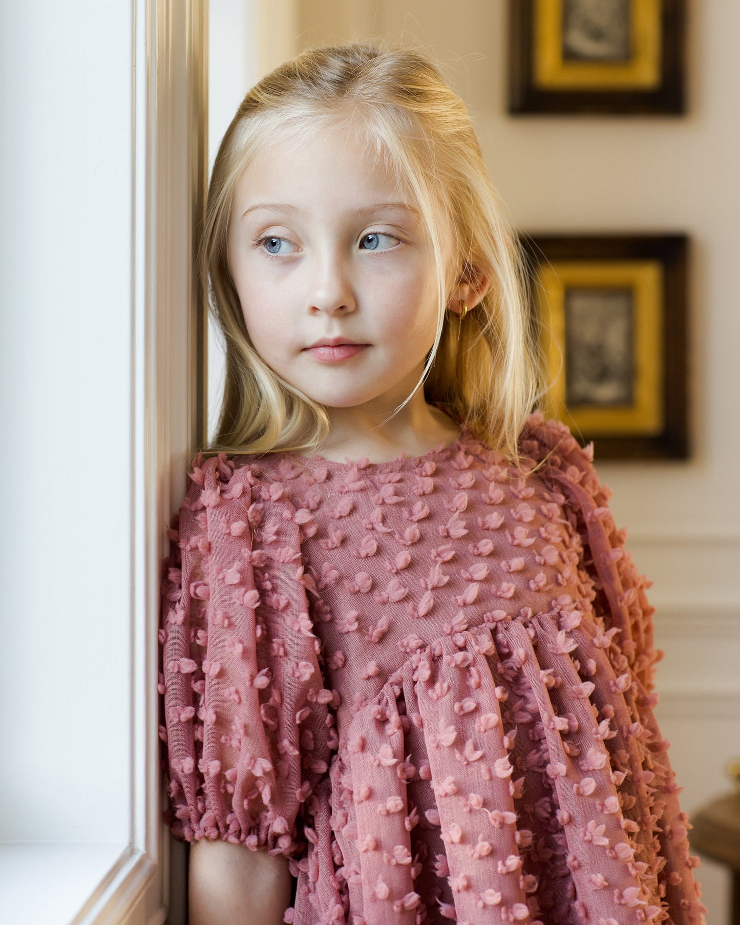 Noralee Luna Dress Raspberry