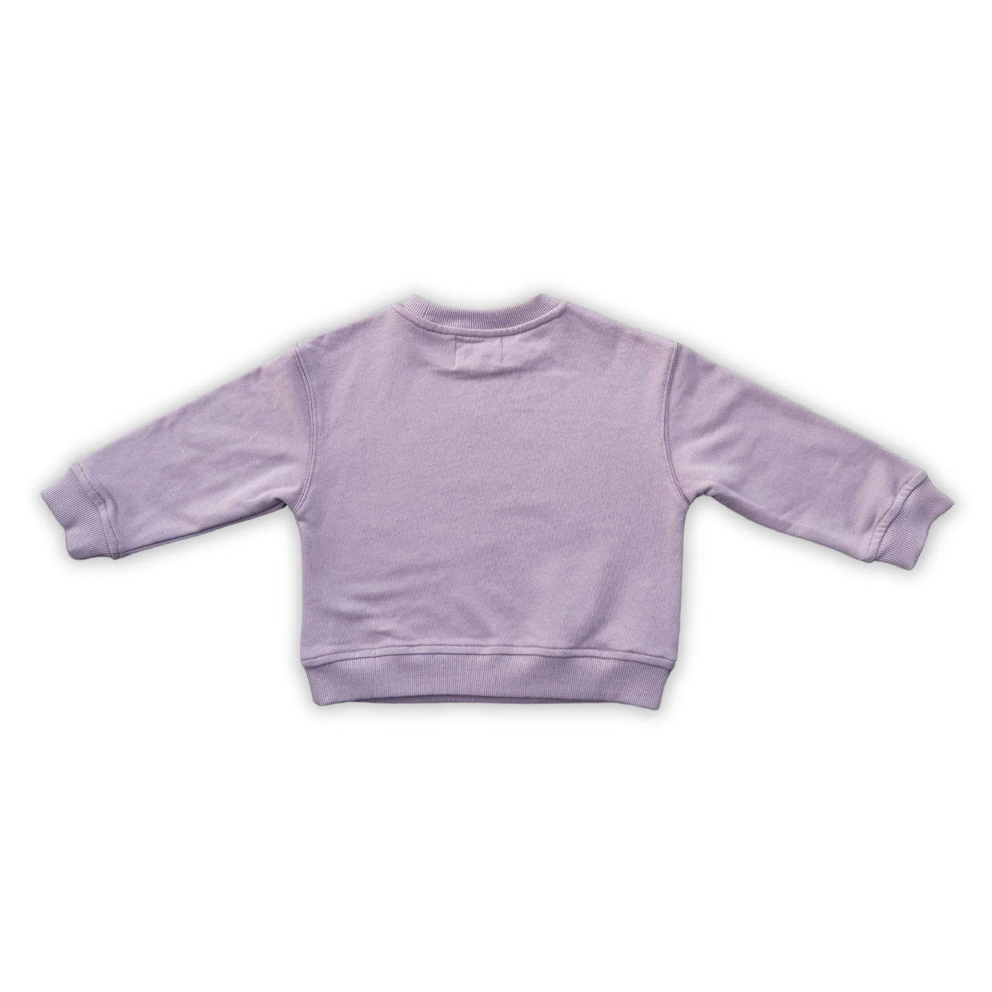 Grown Parrot Fish Jumper Grape