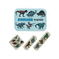 Prehistoric Land Plasters In A Tin