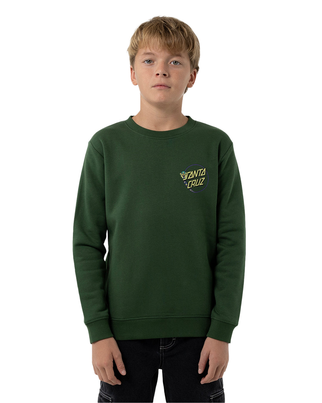 Santa Cru Winkowski Dope Planet 2 Dot Sweater Dark Green