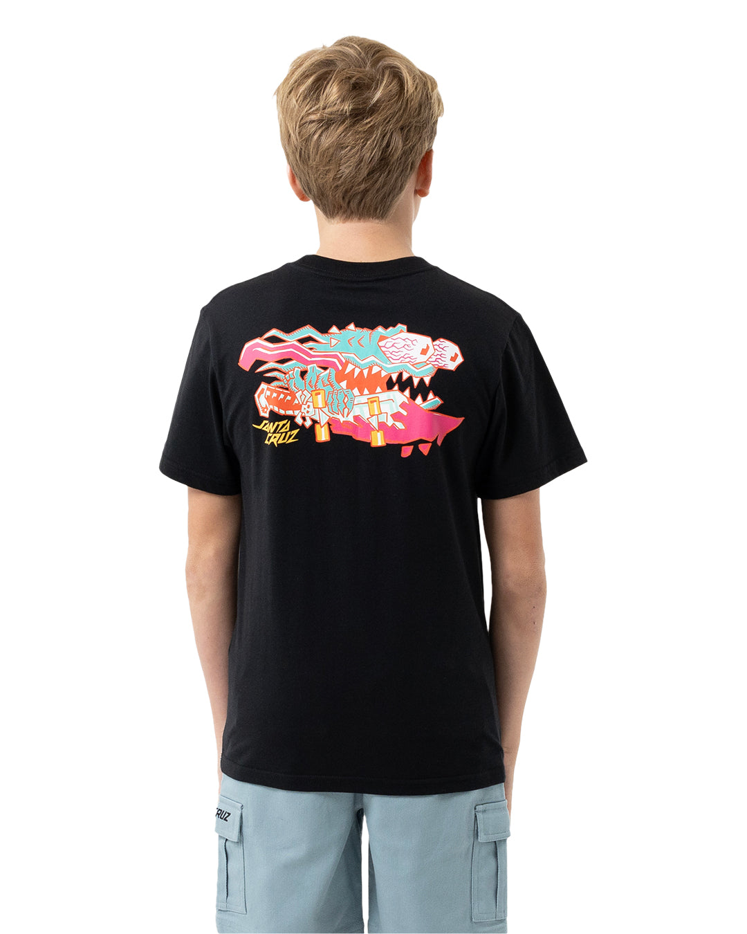 Santa Cruz Meek Scratched Slasher Tee Black