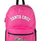 Santa Cruz Field Arch Backpack Pink