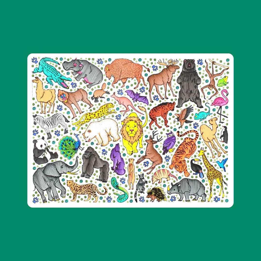 Little Change Creators Re-FUN-Able Colouring Set Safari
