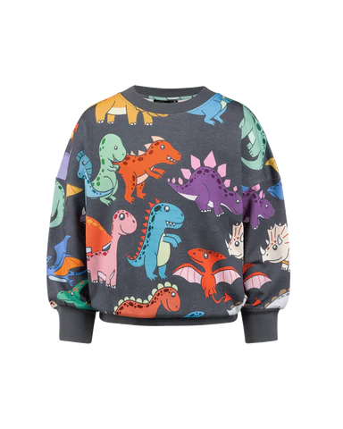 Rock Your Kid On The Move Sweatshirt