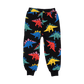 Rock Your Kid Dino Time Track Pants