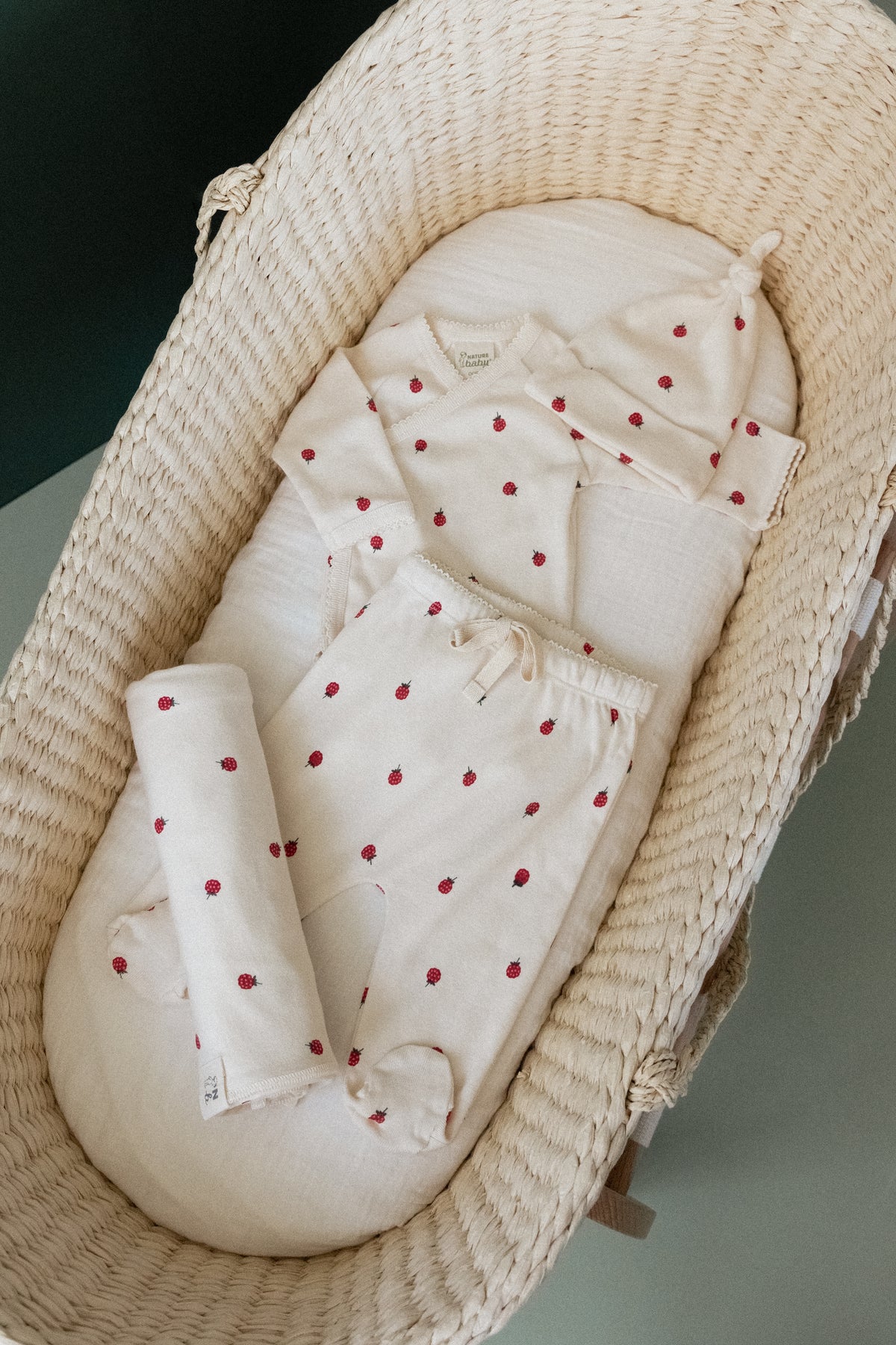 Baby Raspberry Print Nature Baby Welcome Home Bundle Raspberry Print – Little Trooper Limited