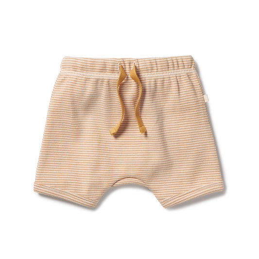Wilson & Frenchy Organic Rib Tie Front Short Toffee