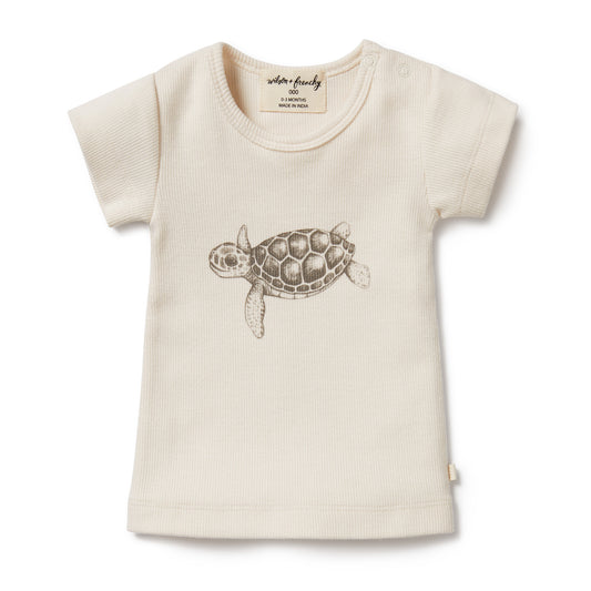 Wilson & Frenchy Organic Tee Tiny Turtle