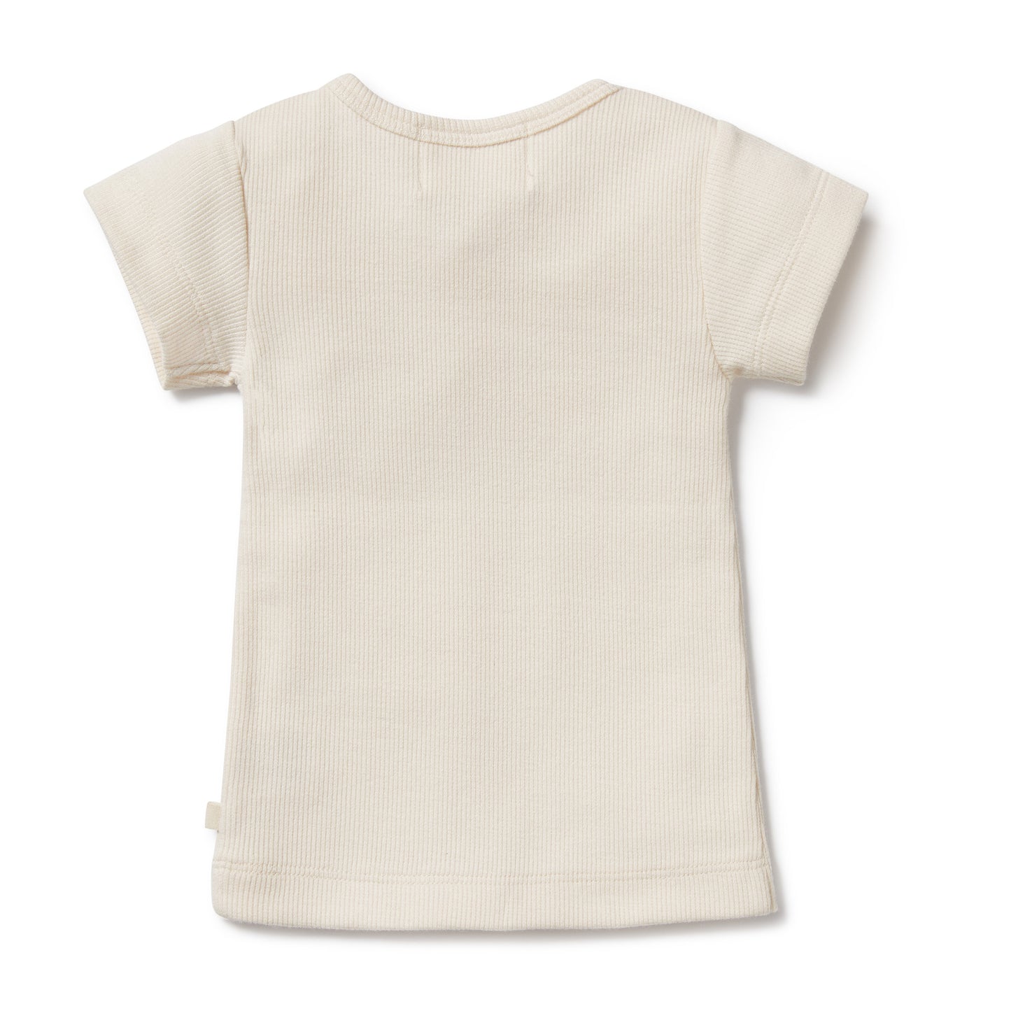 Wilson & Frenchy Organic Tee Tiny Turtle