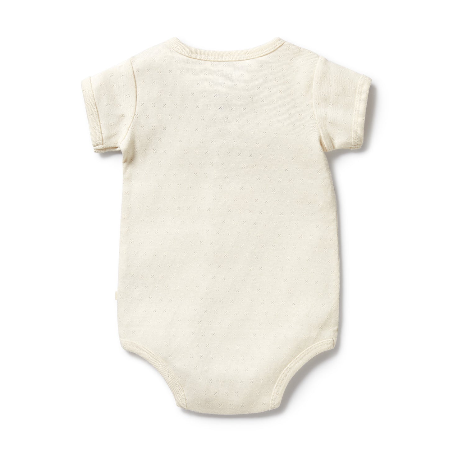 Wilson & Frenchy Organic Pointelle Bodysuit Piney Pals