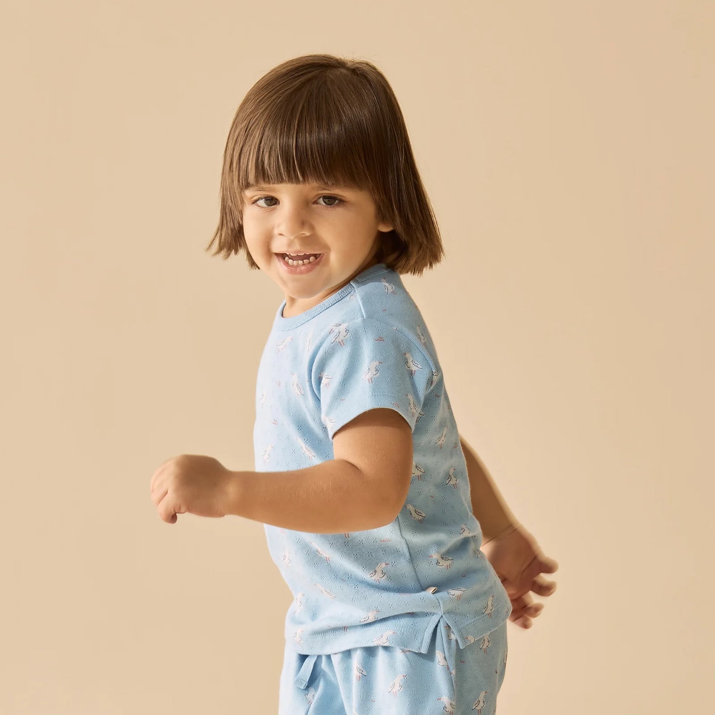 Wilson & Frenchy Organic Pointelle Short Sleeved Pyjamas Sunny Seagulls