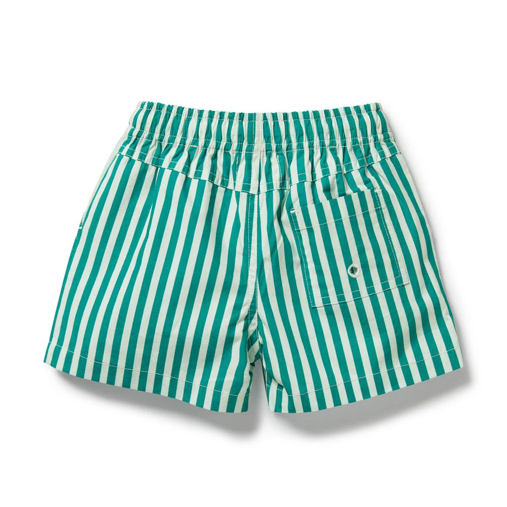 Wilson & Frenchy Green Bean Stripe Swim Board Short