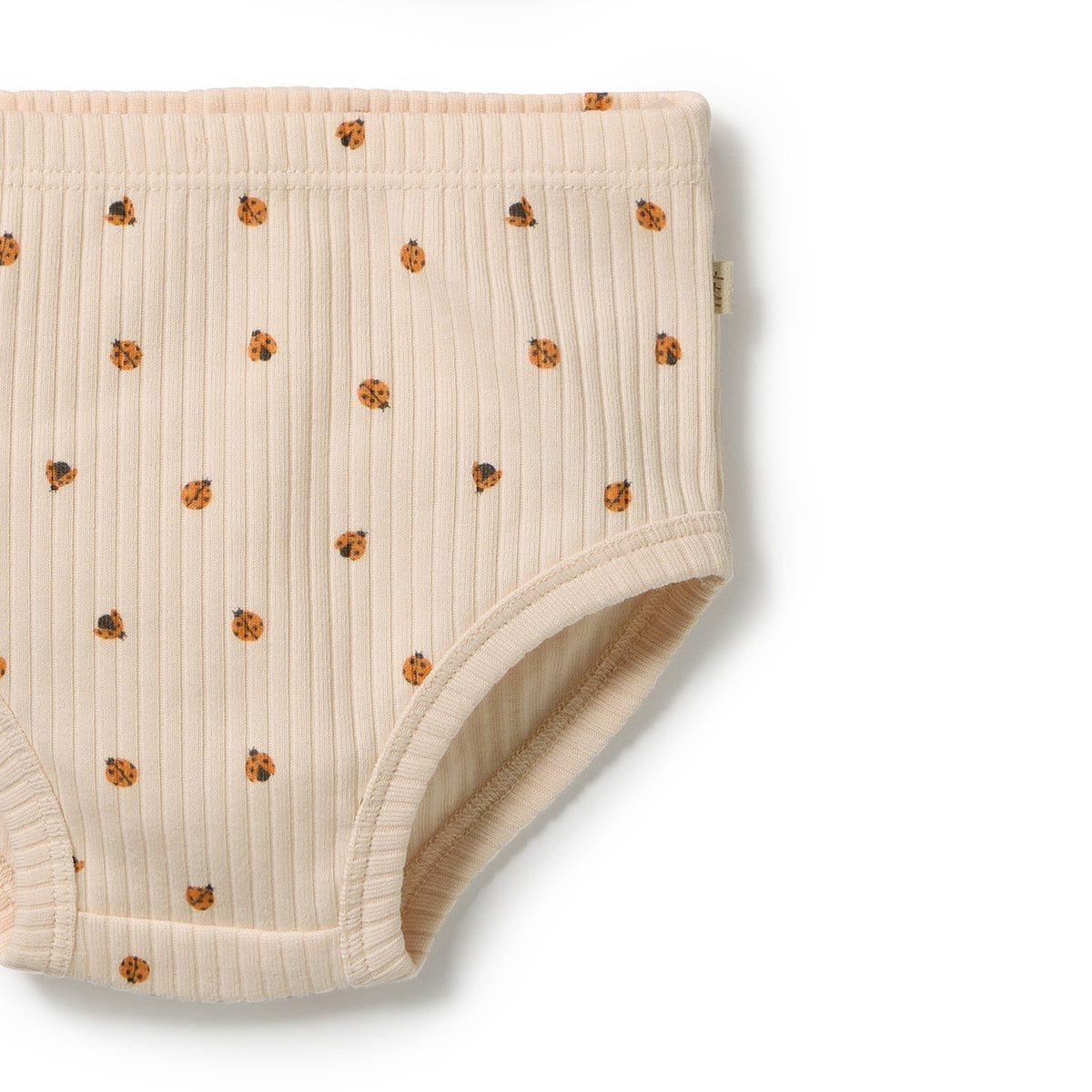 Wilson & Frenchy Organic Dress Set Little Lady Bugs
