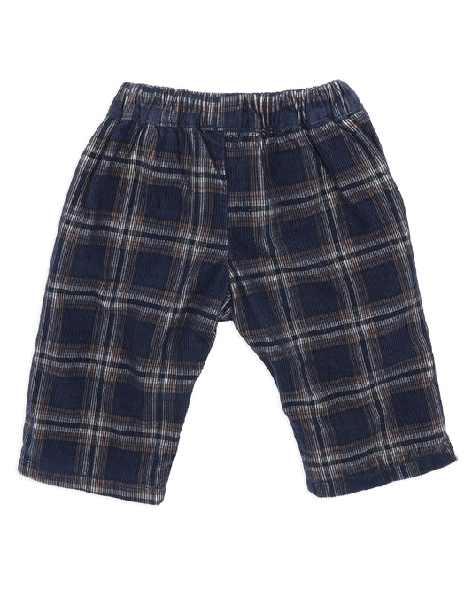 Plaid pants on a white background